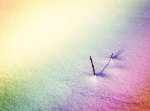 Sucha trawa na pokrytej śniegiem łące w słoneczny zimowy dzień. — Zdjęcie stockowe