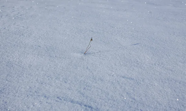 Surface de neige fraîche en hiver ensoleillé . — Photo