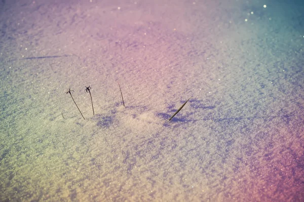 Güneşli kış gününde taze kar yüzeyi. — Stok fotoğraf