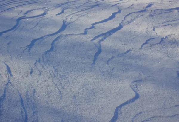 Superficie de nieve fresca en el soleado día de invierno . —  Fotos de Stock