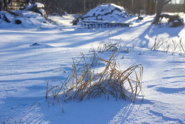 在阳光明媚的冬日，雪地上的干草覆盖着草地. — 图库照片