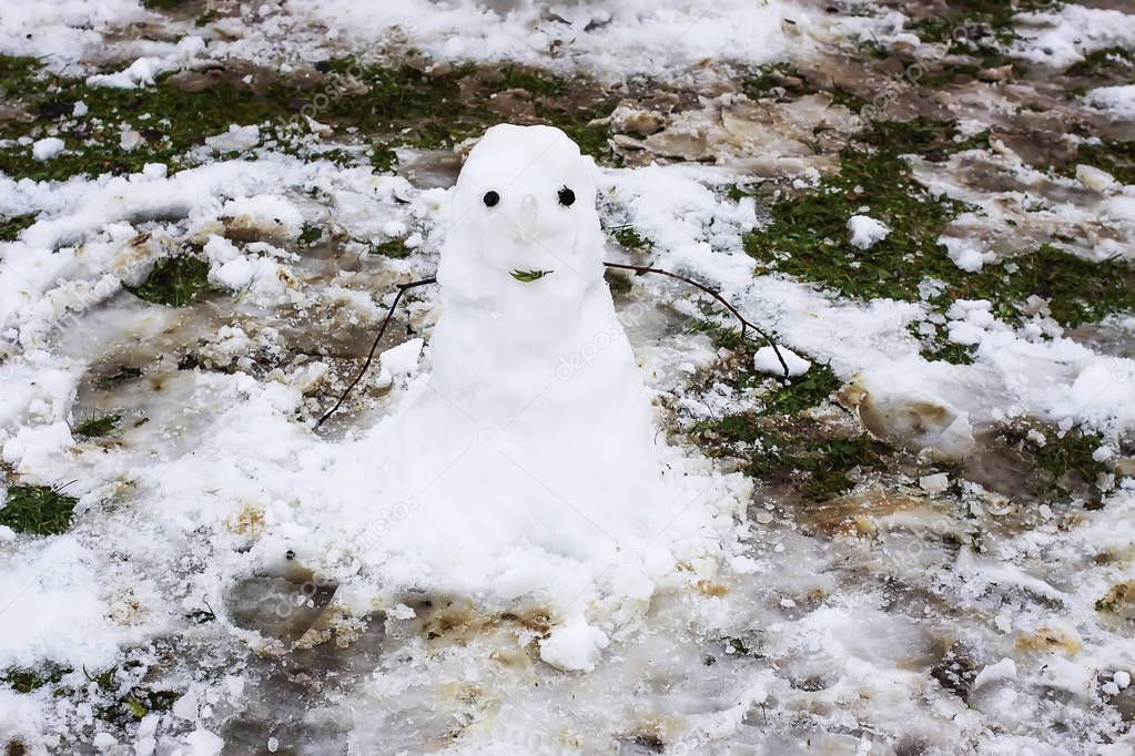 Cute snowman on rural yard.