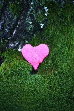Parkta yeşil yosun üzerinde dekoratif renkli bir kalp..