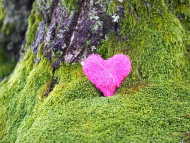 Parkta yeşil yosun üzerinde dekoratif renkli bir kalp..