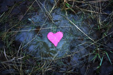 Su birikintisinde küçük renkli bir kalp