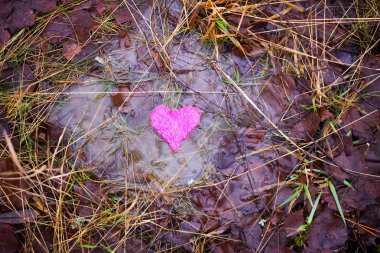Su birikintisinde küçük renkli bir kalp