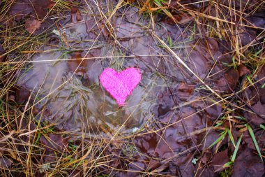 Su birikintisinde küçük renkli bir kalp