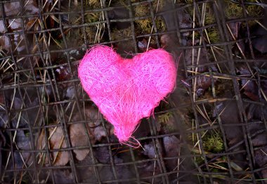 Kırsal demir elek arka planında renkli dekoratif kalp. kavramsal fotoğraf.