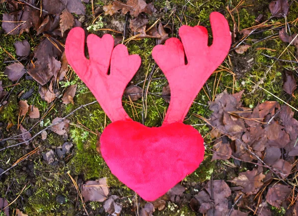 Corazón de felpa con cornamenta roja sobre hojas marrones . — Foto de Stock