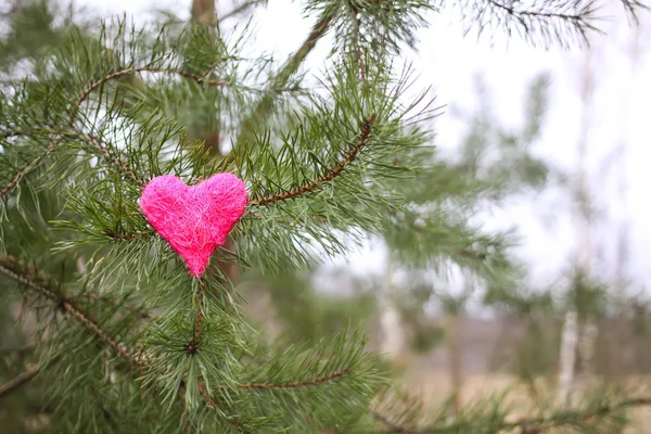Yeşil çam ağacının dallarındaki dekoratif kalp.. — Stok fotoğraf