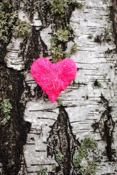 Corazón decorativo en corteza de abedul . — Foto de Stock