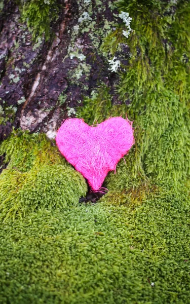 Corazón colorido decorativo sobre musgo verde en el parque . — Foto de Stock