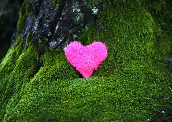 Corazón colorido decorativo sobre musgo verde en el parque . — Foto de Stock