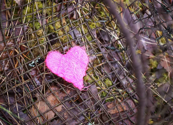 Corazón decorativo colorido sobre fondo de tamiz de hierro rústico viejo. foto conceptual . — Foto de Stock