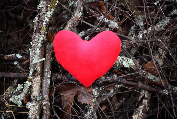 Corazón de felpa roja en el fondo de ramas de árbol . — Foto de Stock