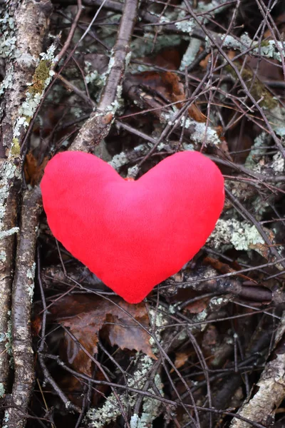 Red plush heart on tree branches background. — Stok Foto