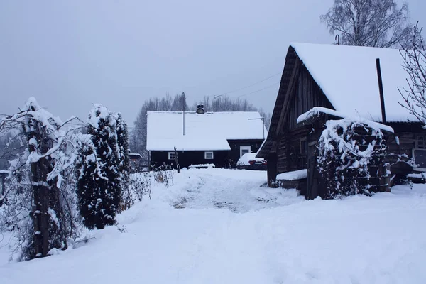 Vinterlandskap i Östeuropa — Stockfoto