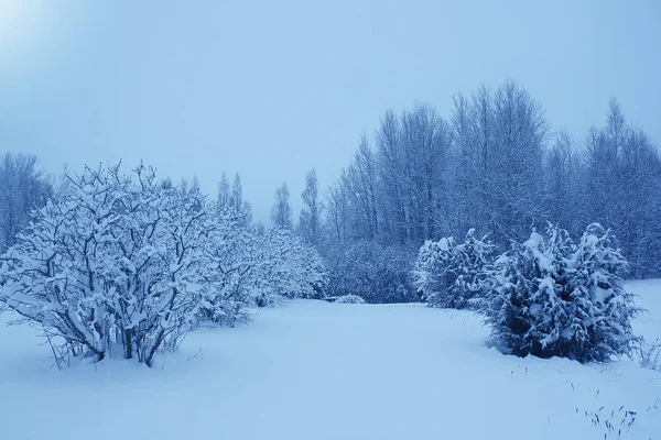 Hóval borított fák a téli parkban — Stock Fotó