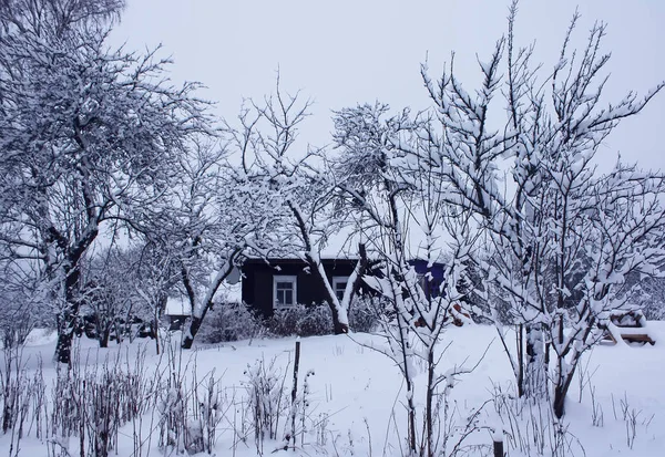 Czas zimowy i śnieg — Zdjęcie stockowe