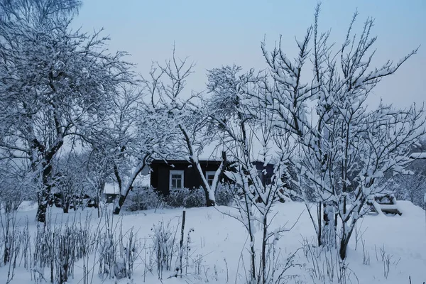 Karla kaplı ağaçlarla ve eski kırsal evlerle dolu bir manzara. — Stok fotoğraf