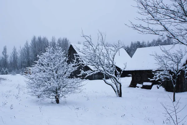 Vinterlandskap i Östeuropa med lantliga byggnader. — Stockfoto
