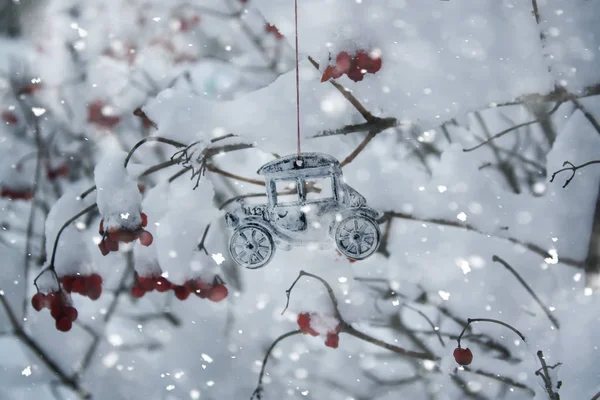 Bomen met sneeuw in het winterpark — Stockfoto