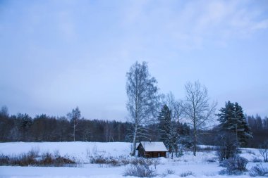bir kırsal kış manzara.