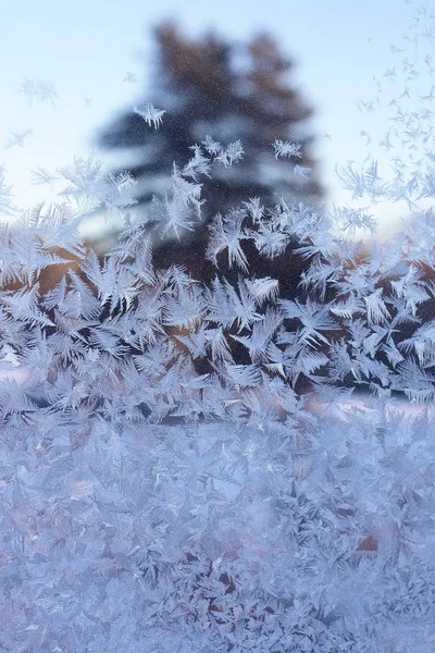 Superficie congelada del vidrio — Foto de Stock