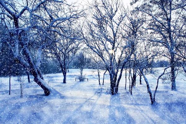 拉脱维亚、东欧的冬季景观 — 图库照片