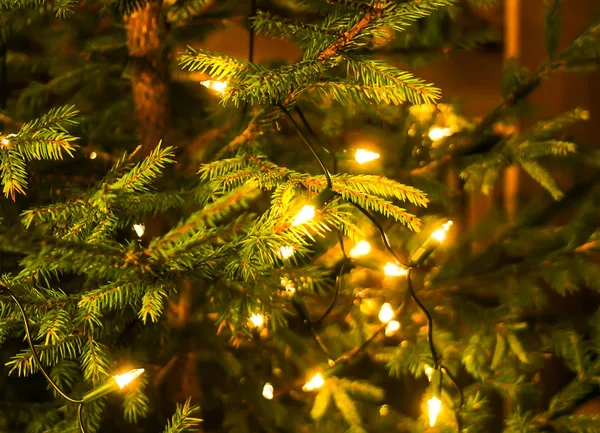 クリスマスツリーを飾る。祭輝く明るい背景 — ストック写真