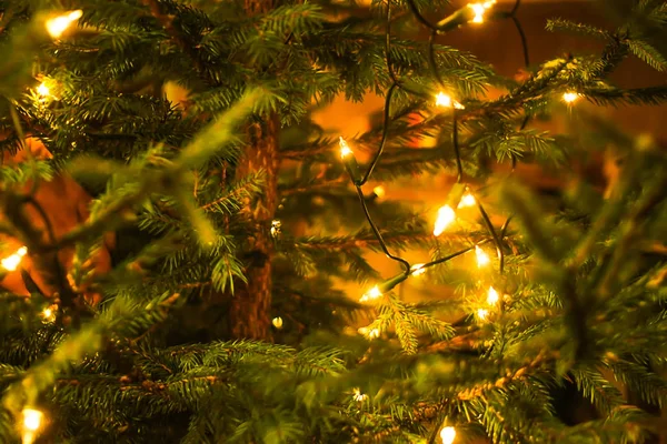 Dekorerad julgran. Festlig gnistrande ljus bakgrund — Stockfoto