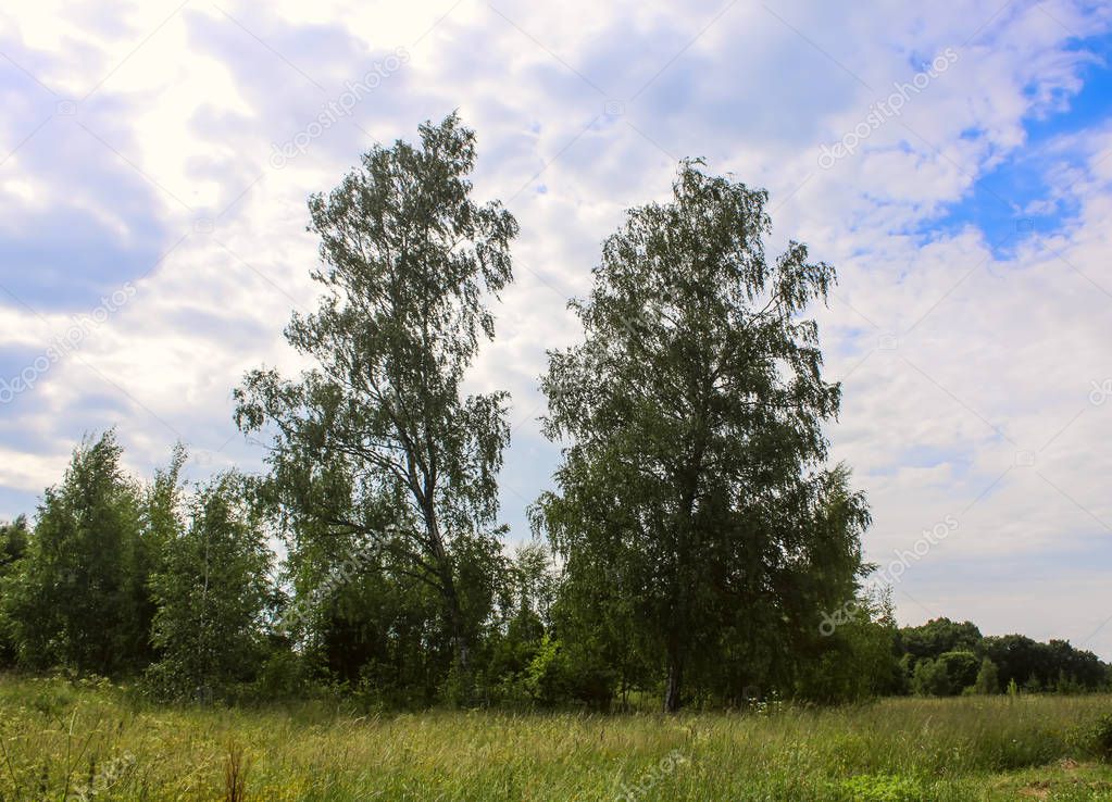 Landscape at summer in Latvia.
