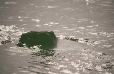 Güzel deniz manzarası