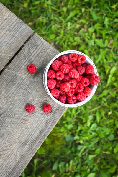 Himbeeren auf Naturhintergrund. — Stockfoto