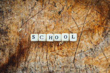 Ormanda bir ağaç kütüğü yüzeyinde tahta alfabe boncukları..