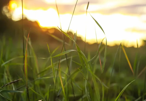 Atardecer cielo fondo. — Foto de Stock