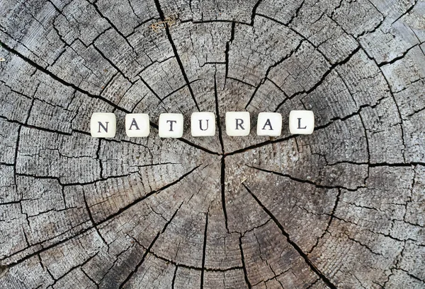 Ord naturliga av trä alfabet pärlor på ett träd stubbe yta i skogen. — Stockfoto