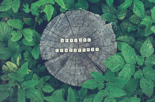 Words natural components of wooden alphabet beads on a tree stump surface in the forest. — Stock Photo, Image