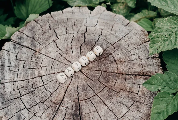 Natureza palavra de contas de alfabeto de madeira em uma superfície de toco de árvore na floresta . — Fotografia de Stock