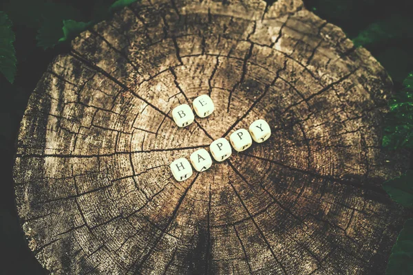 Palavra ser feliz de contas alfabeto de madeira em uma superfície de toco de árvore na floresta . — Fotografia de Stock