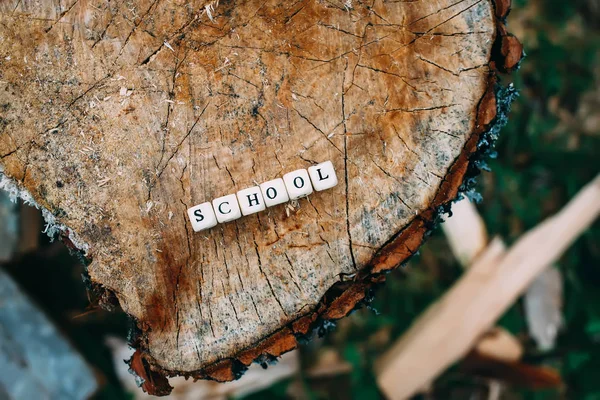 Ord skola av trä alfabet pärlor på ett träd stubbe yta i skogen. — Stockfoto