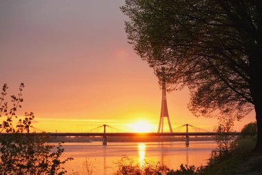 Yaz günbatımı güneş ışıkları