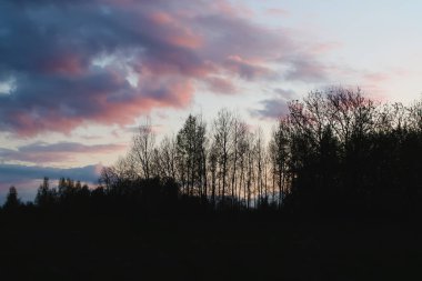 Yaz günbatımı güneş ışıkları