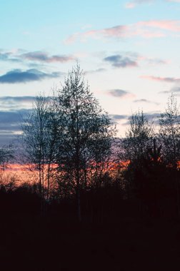 Yaz günbatımı güneş ışıkları