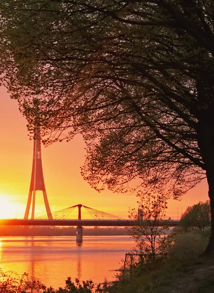 Yaz günbatımı güneş ışıkları