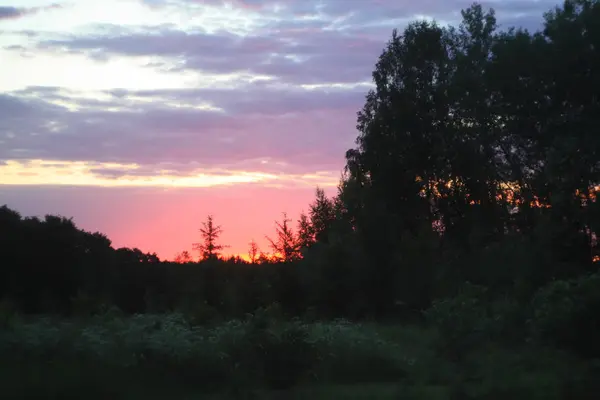 Zomer zonsondergang zonnestralen — Stockfoto