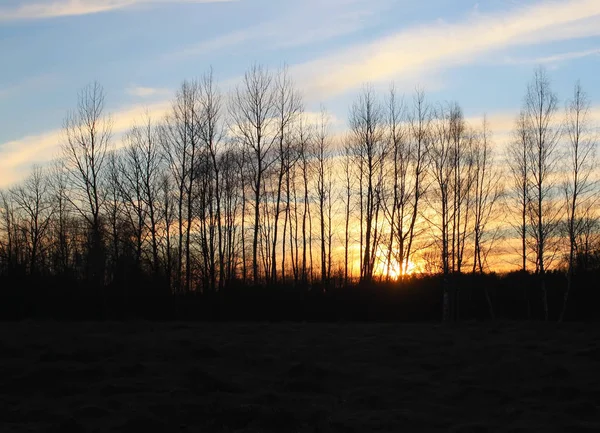 Гарний яскравий захід сонця — стокове фото