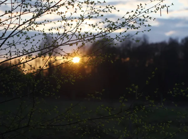美しい明るい夕日 — ストック写真