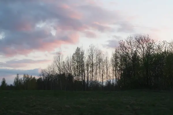 Frühling heller Sonnenuntergang — Stockfoto