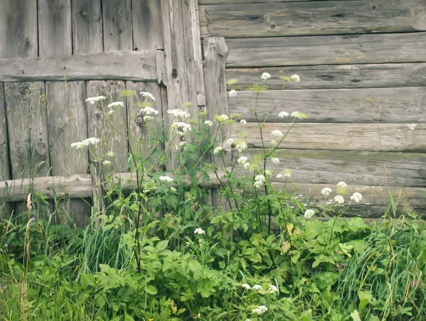 Muro di legno di vecchio fienile in campagna . — Foto Stock